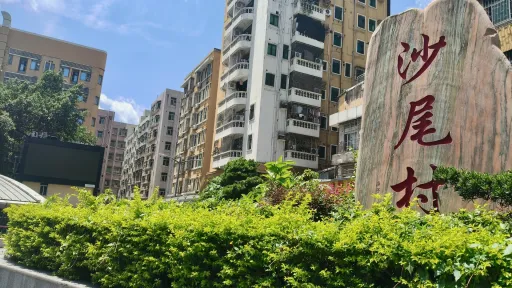 沙尾村