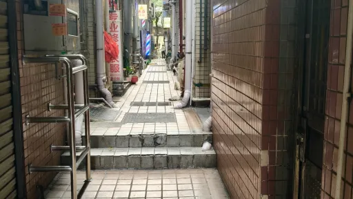  水围村