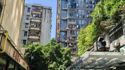 新洲村