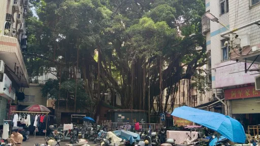  北头村