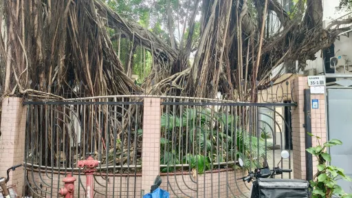  北头村