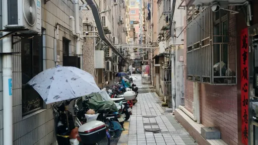 鹤围村