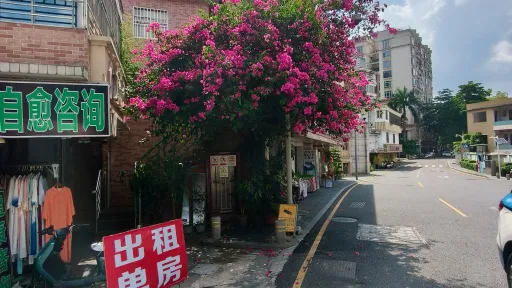  茂仔村