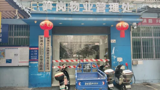 笋岗村