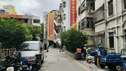向南村