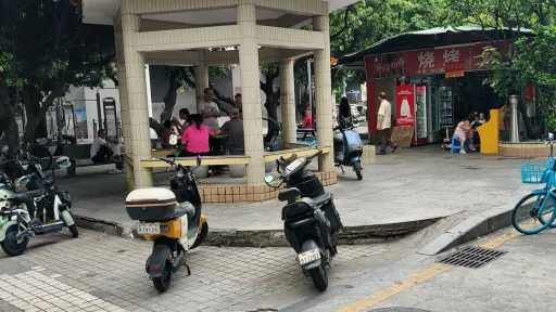 向南村