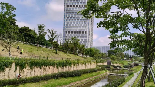 白芒村