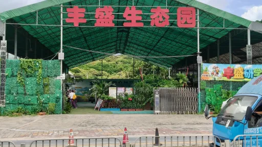 白芒村
