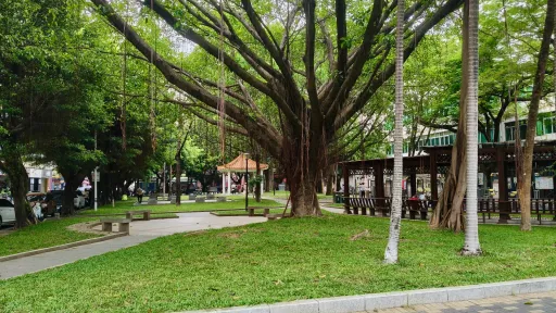 官龙村