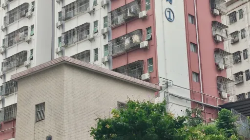 留仙洞村