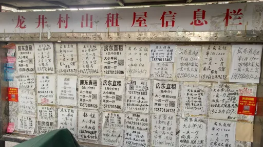 龙井村