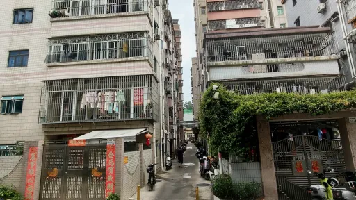 龙井村