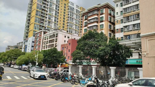 文光村