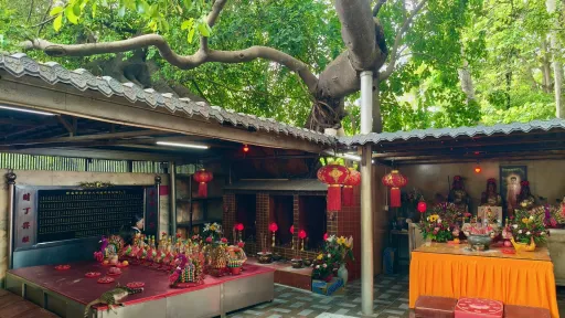 文光村