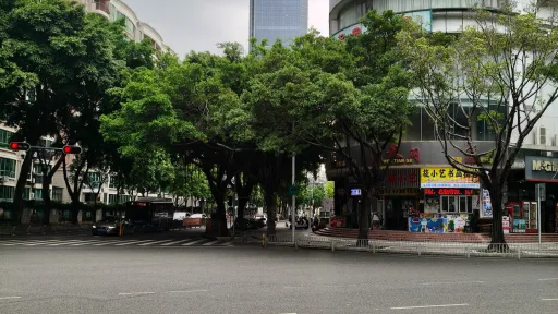 珠光村
