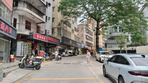 珠光村