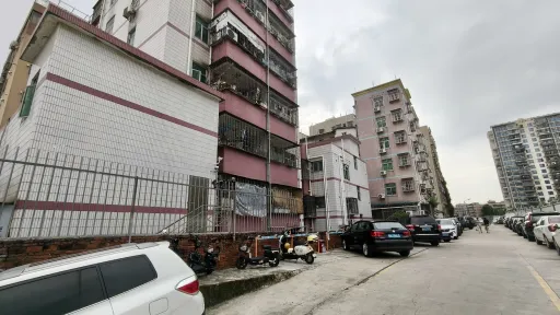 珠光村