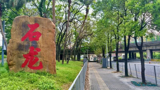 石龙村