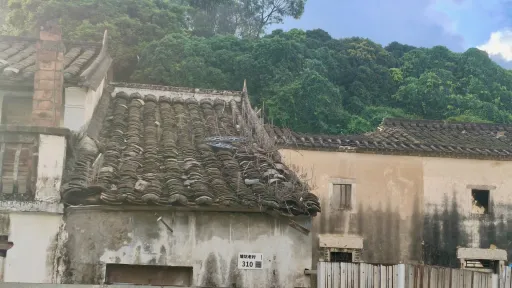塘坑村