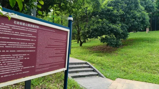 应人石村