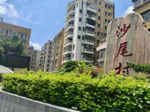 沙尾村