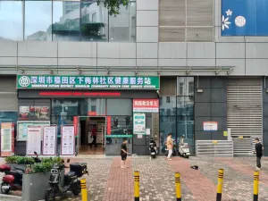下梅林村