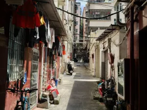 大望村