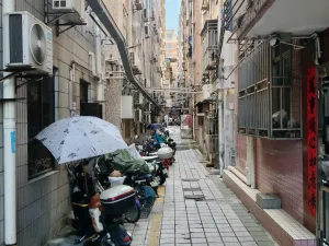 鹤围村