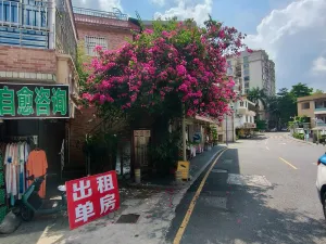  茂仔村