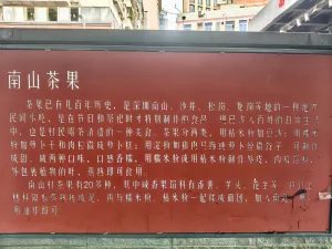  南山村