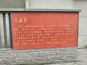  南山村