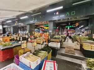 南园村