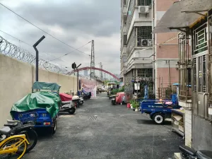 笋岗村