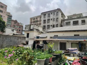 长岭村