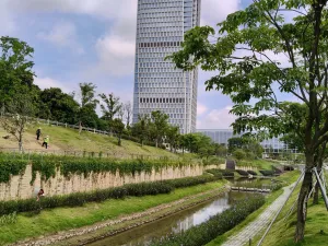 白芒村