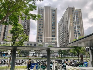 白芒村