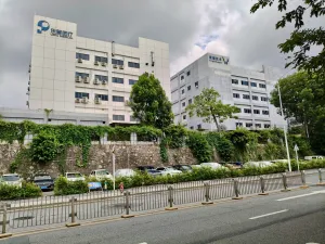 白芒村