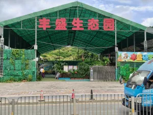 白芒村