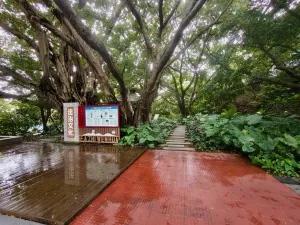 赤湾村