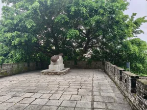 赤湾村