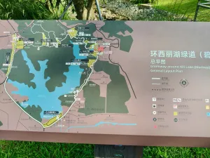 大磡村