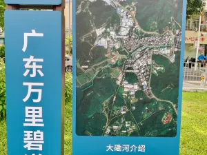 大磡村