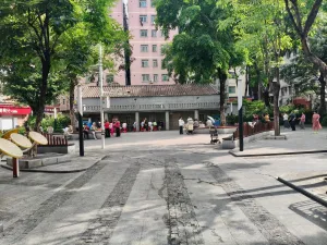 大磡村