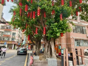 光前村