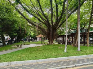 官龙村