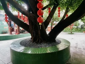  后海村