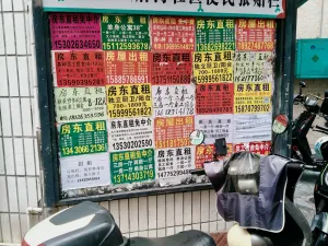 后海村