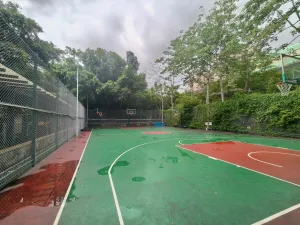 留仙洞村
