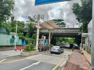 牛成村