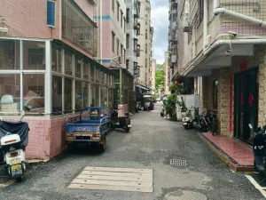 牛成村